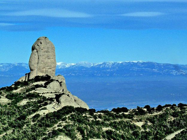 560971_10151357531509884_1483757844_n