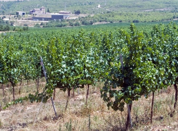 do_pla_del_bages_fruits_de_la_terra