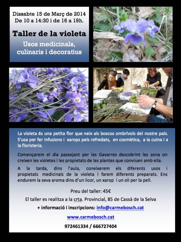 taller violeta