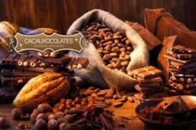 Taller de Xocolata al Monestir