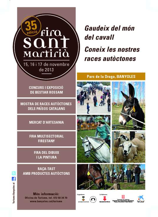 35a-fira-de-sant-martiric3a0-banyoles-2013