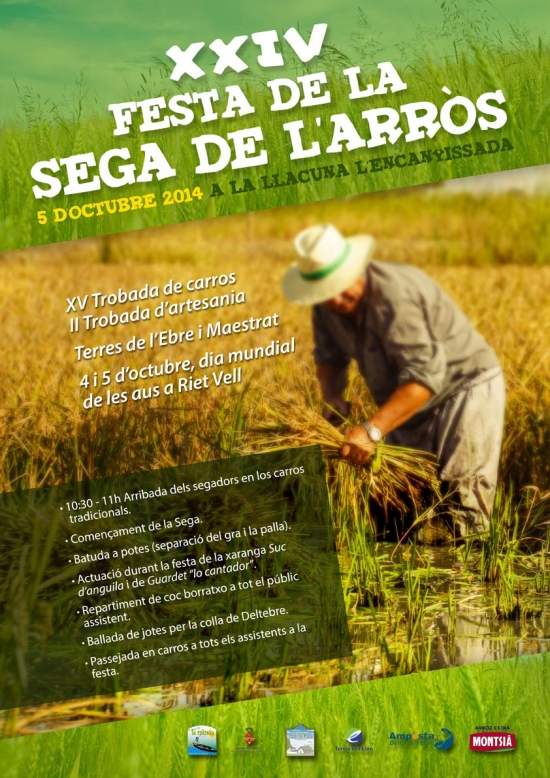 XXIV Festa de la Sega de l'Arròs a Llacuna i l'Encanyissada Amposta 2014