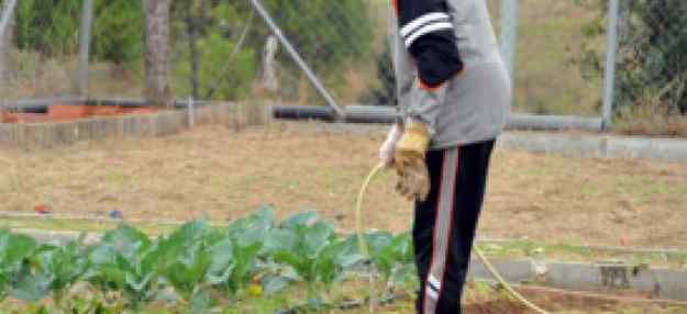 Els municipis del Baix Llobregat aposten per els horts urbans