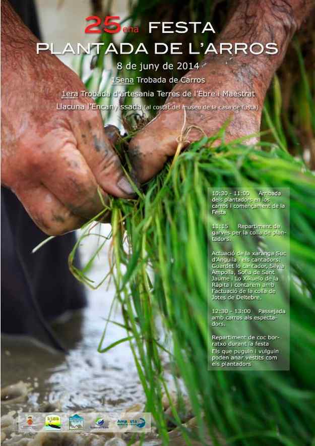 25a Festa de la Plantada de l'Arròs - Amposta 2014