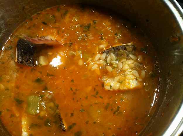 “chorba” de peix del Mediterrani (79/135)