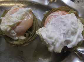 Ous a la renaixement 06