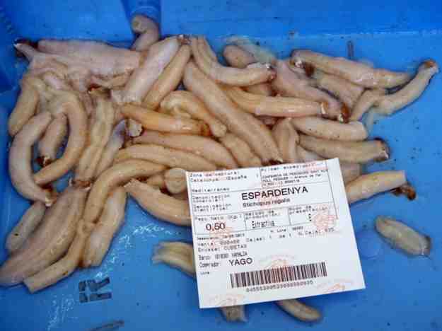 Espardenyes: menja de rics 01