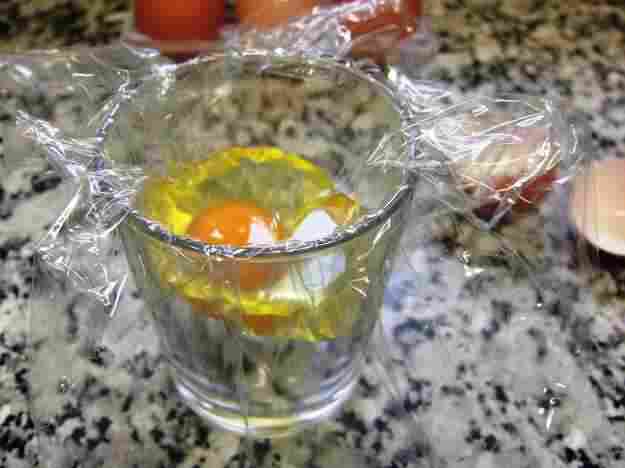 Ous a la renaixement 03