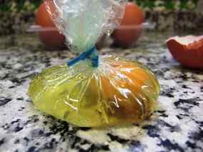 Ous a la renaixement 04