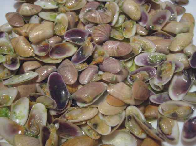 TALLARINES PER AL PICA-PICA