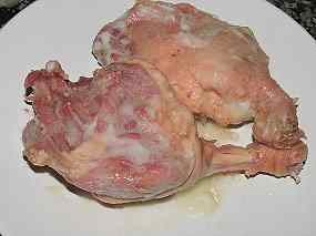 Canelons de confit d'ànec 05