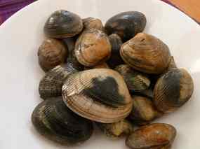 Lluç amb cloïsses 01