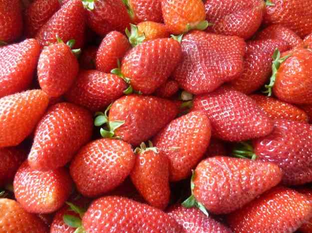 Melmelada de maduixa 01