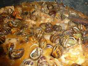 Conill amb caragols 02