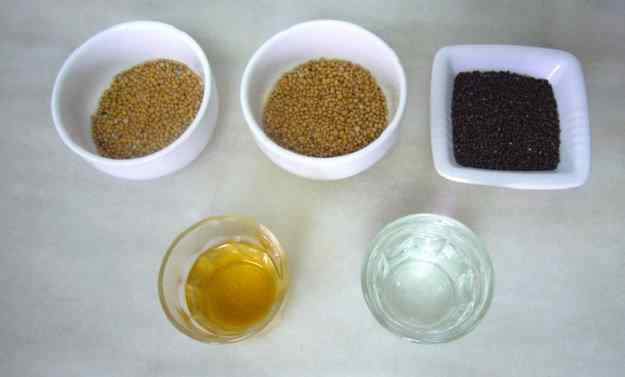 Mostassa a l'antiga (o molt semblant) 02