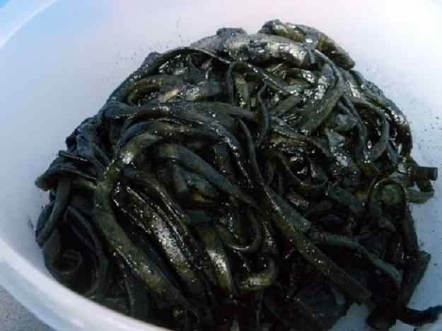 Tallarines amb sípia