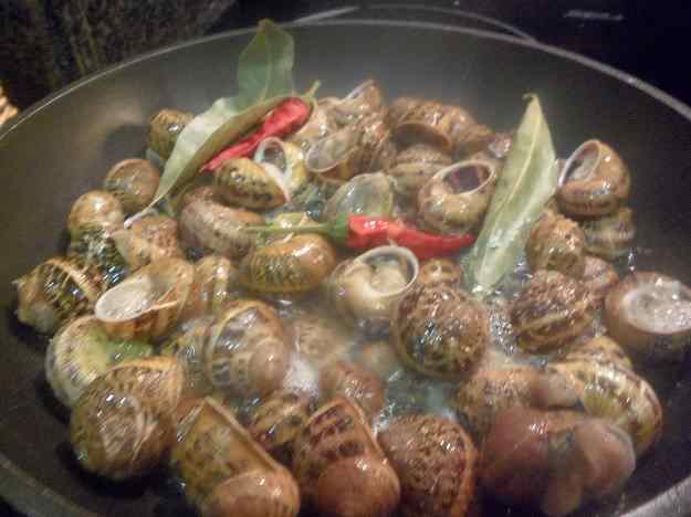 CARGOLS DE LA GARROTXA AMB PEIX I PEUS DE PORC