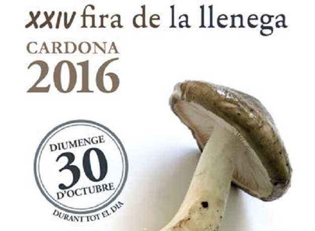 xxiva-fira-de-la-llenega-cardona-2016
