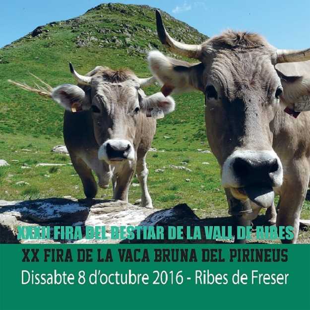 xxxiia-fira-del-bestiar-de-la-vall-de-ribes-ribes-de-freser-2016