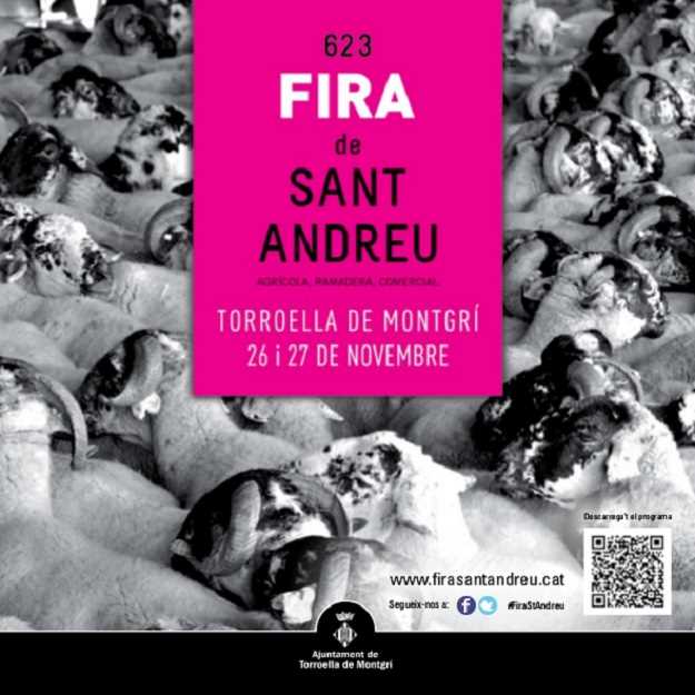 623a-edicio-fira-de-sant-andreu-torroella-de-montgri-2016