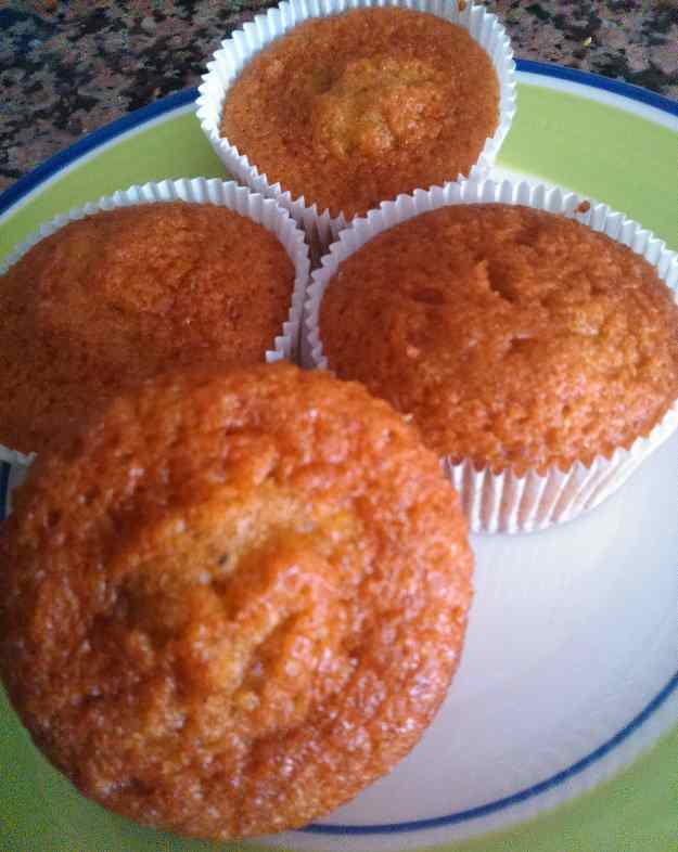 MAGDALENES (Molt esponjoses)