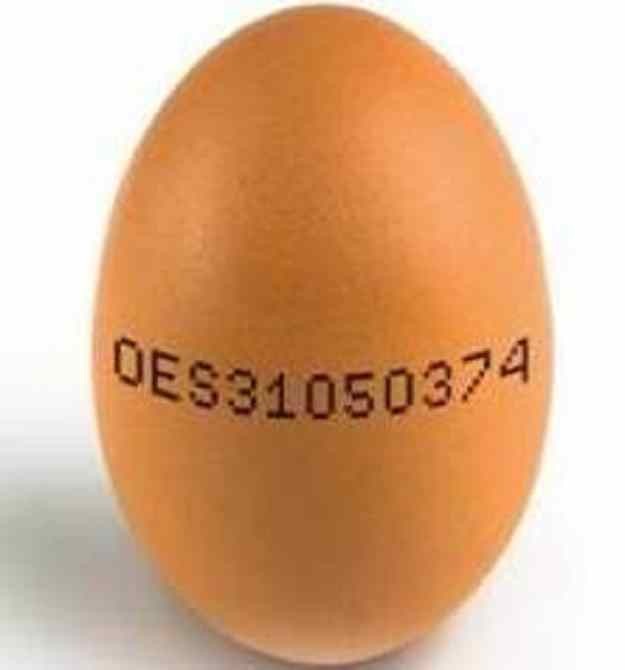 El DNI dels ous