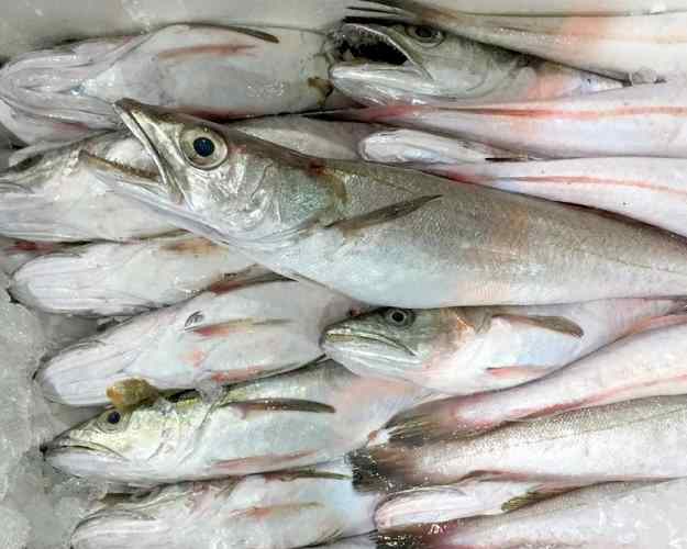 Lluç: al límit de l´abisme 01